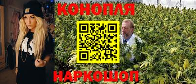 MDMA Premium VHQ Гай