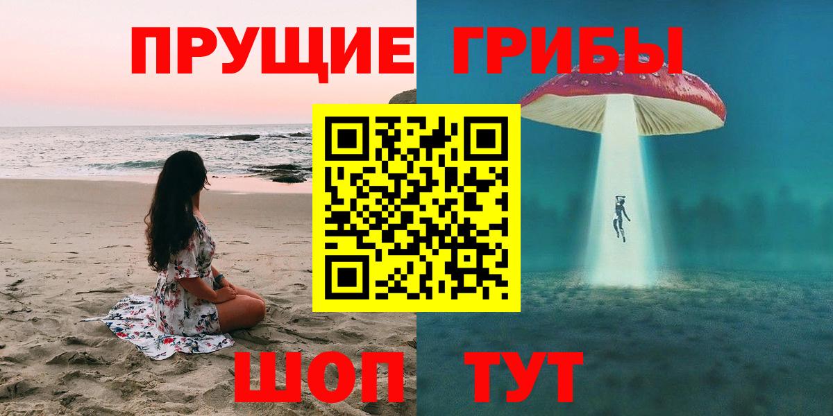 Серов  Галлюциногенные грибы прущие грибы  Вход с VPN 