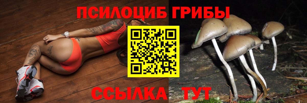 Псилоцибиновые грибы прущие грибы Серов