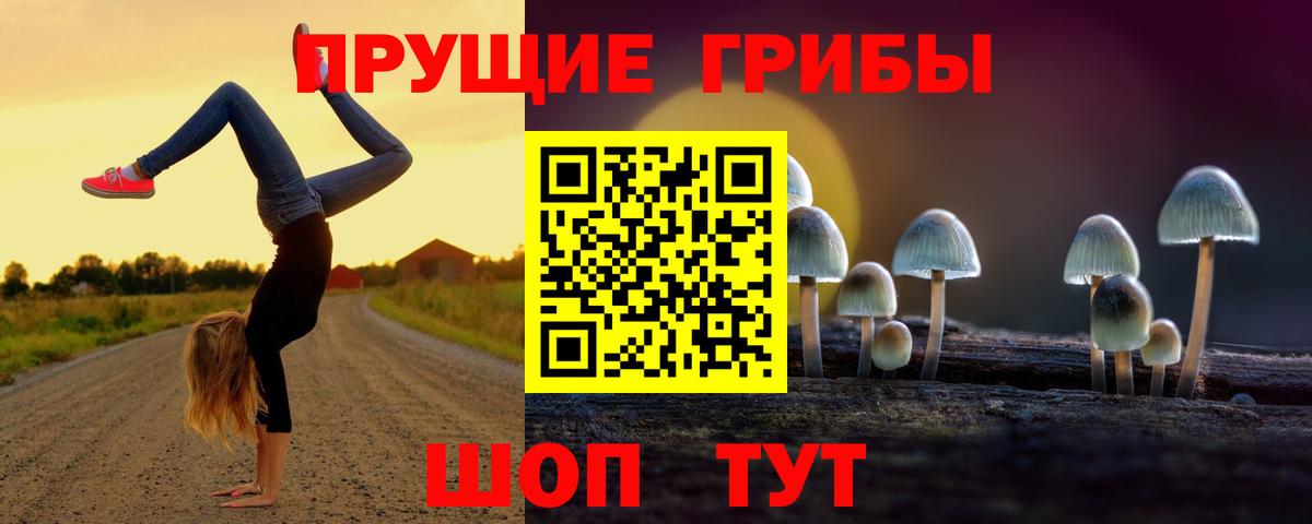 Галлюциногенные грибы MAGIC MUSHROOMS Серов